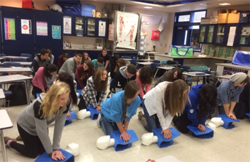 Students practicing CPR on dummies