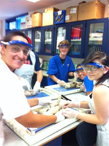 Students wearing protective eye wear doing a project in class